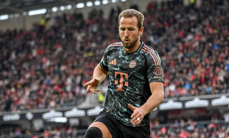 可以看到其 可以看到其