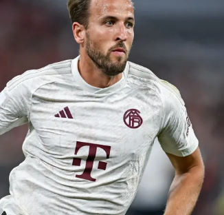 的演练场 的演练场